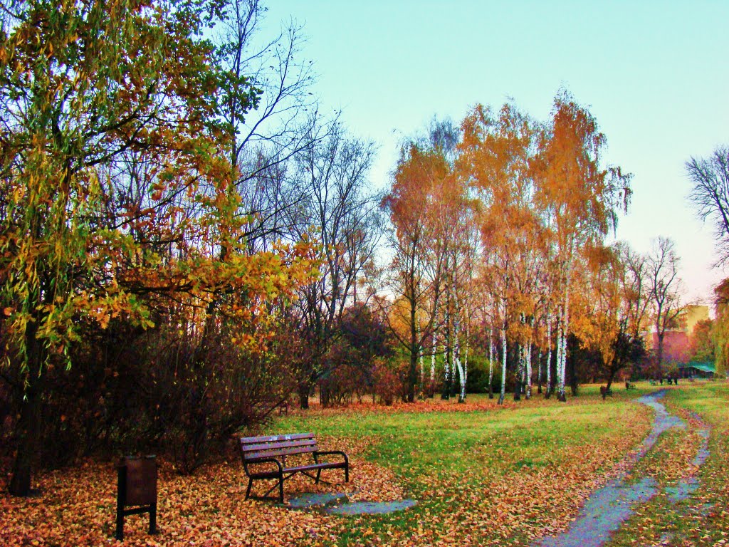 Park nad Jasieniem w jesiennych barwach
