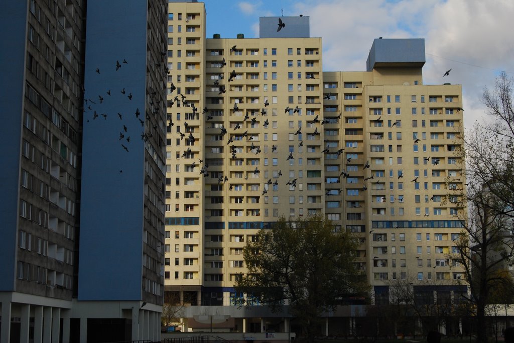Łódzki Manhattan