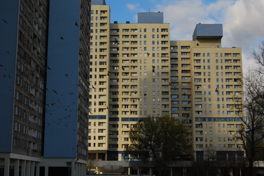 Łódzki Manhattan