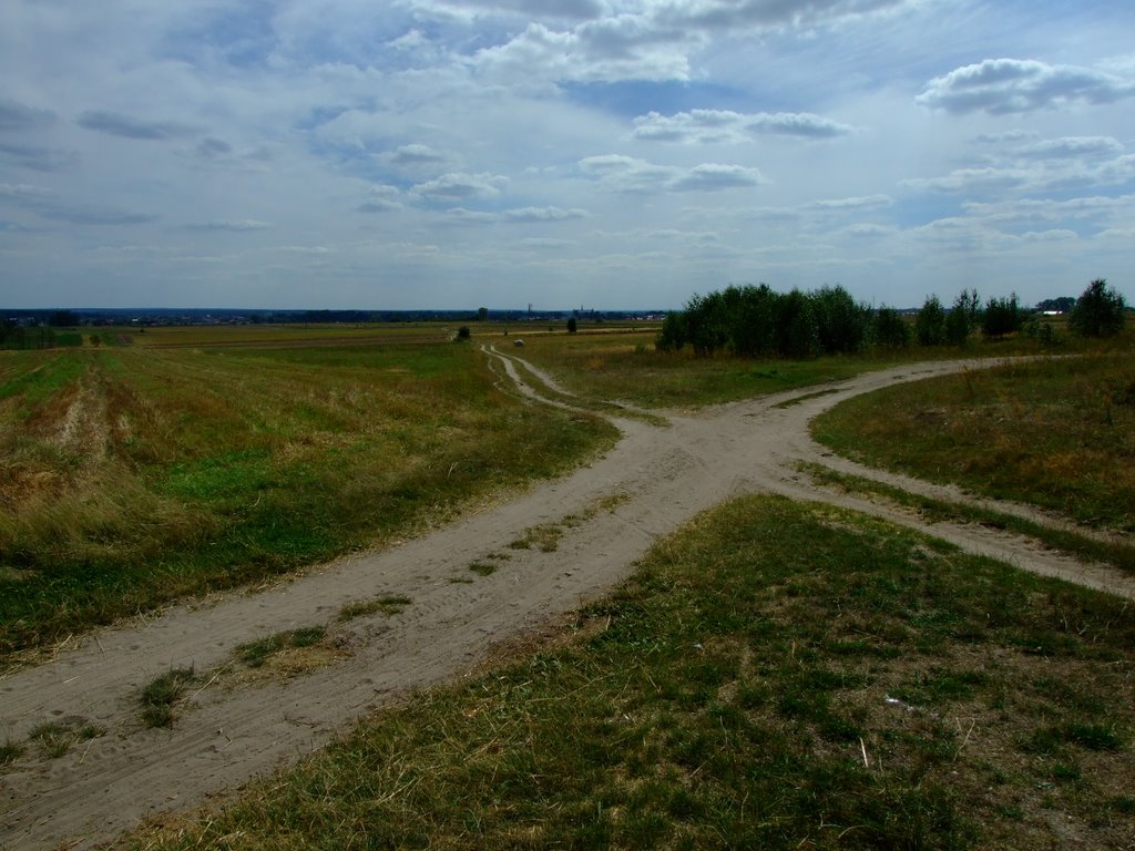 widok Opoczna z "przecięcia"  Rolnej z Libiszewską