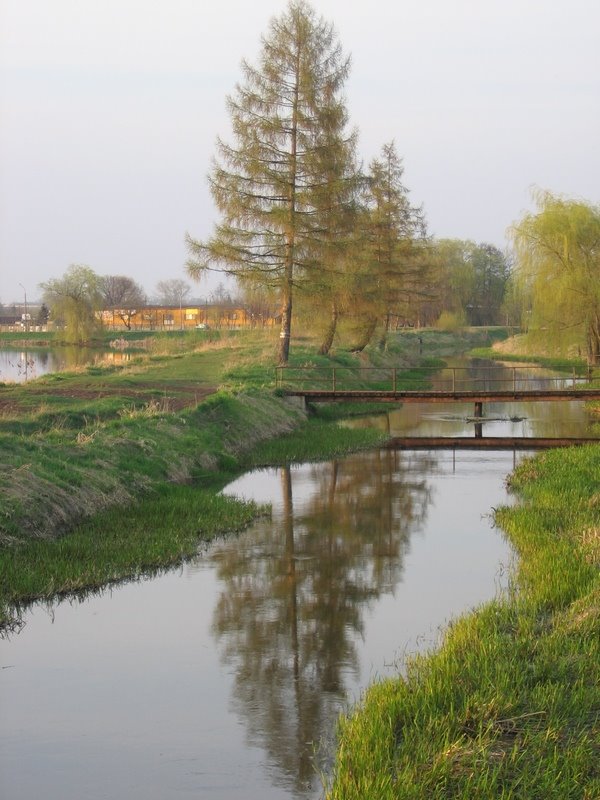 Nad zalewem