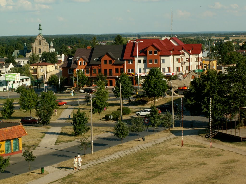 Widok na ulice Biernackiego 5