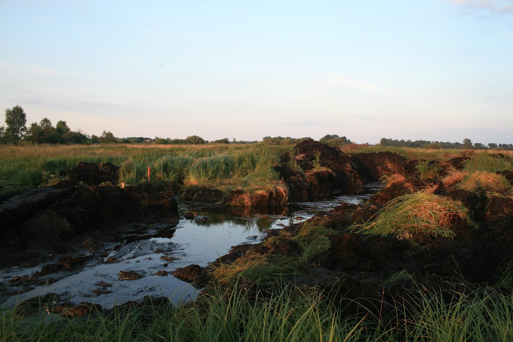 Budowa obwodnicy rok 2010