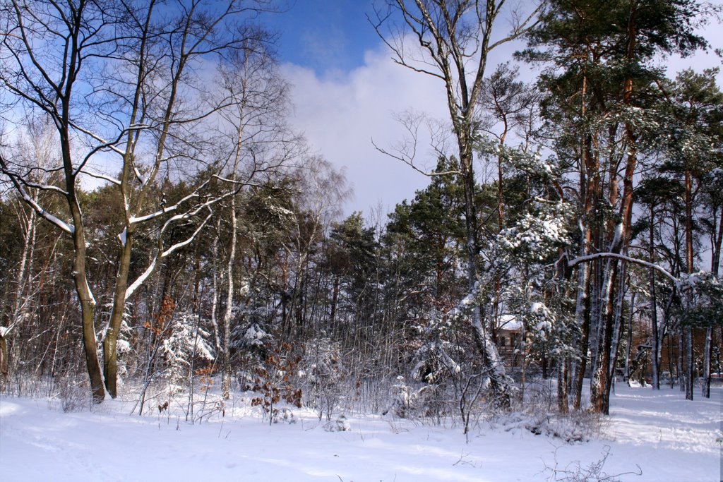 Park Wolności - Strzelnica