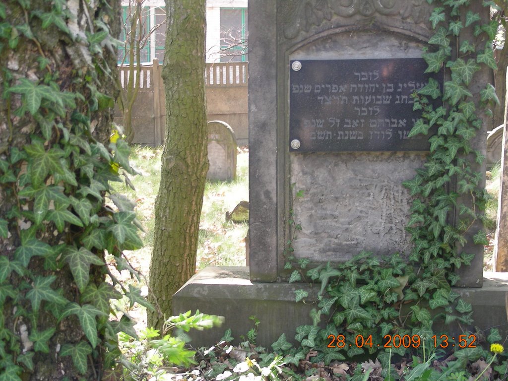 cmentarz żydowski  III