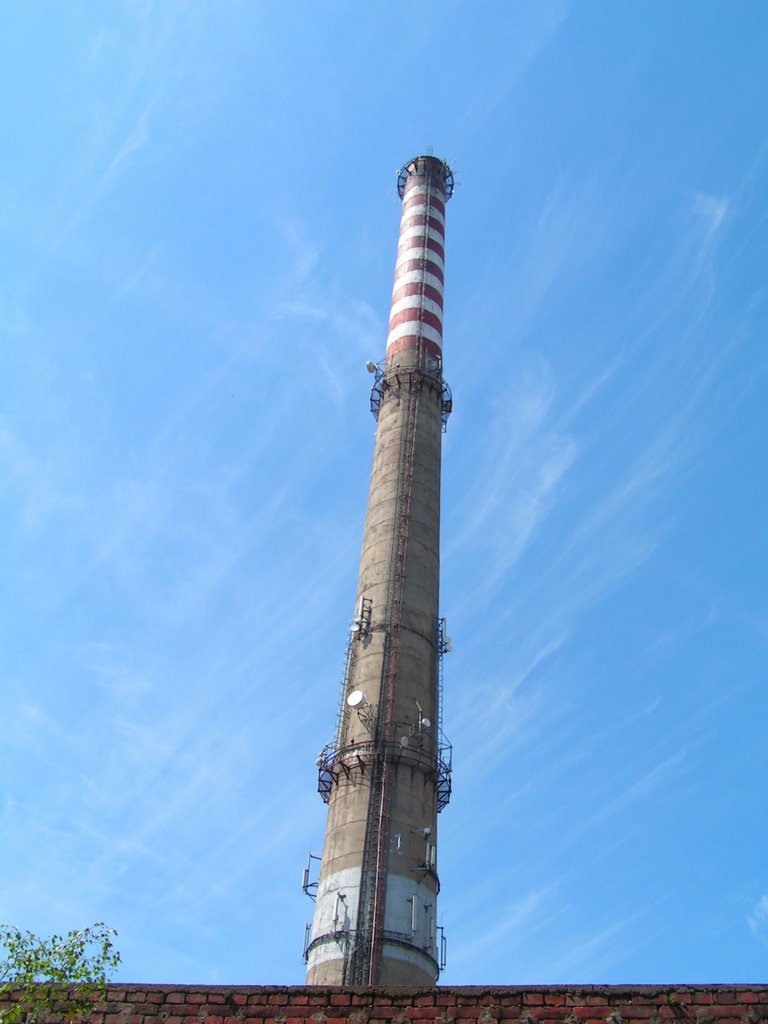 Pamotex S.A. (154m.)