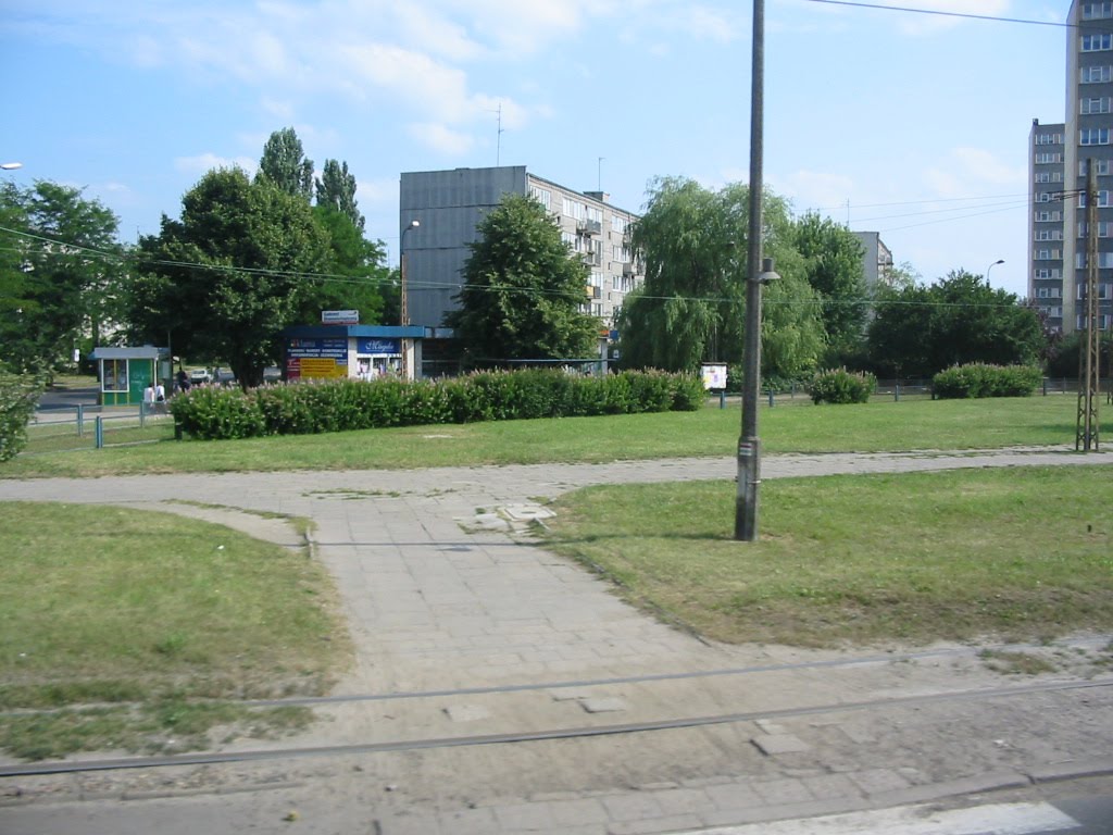Pabianice