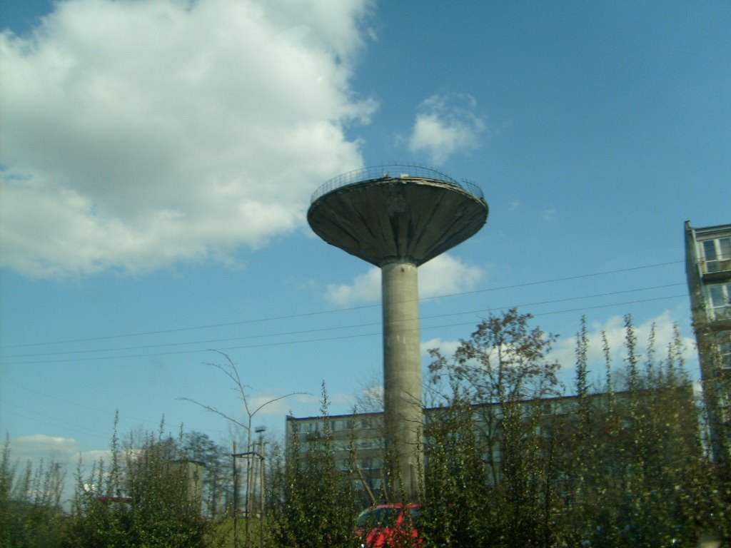 Grzybek