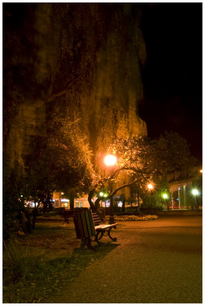 Park nocą (nocny wypad z jackiem na miasto)