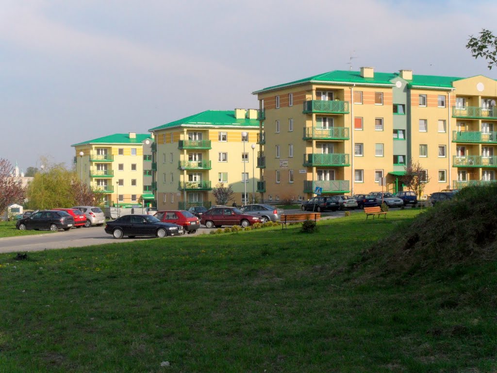blokowisko TBS-u 2011 rok