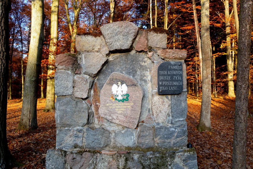 Dłutów