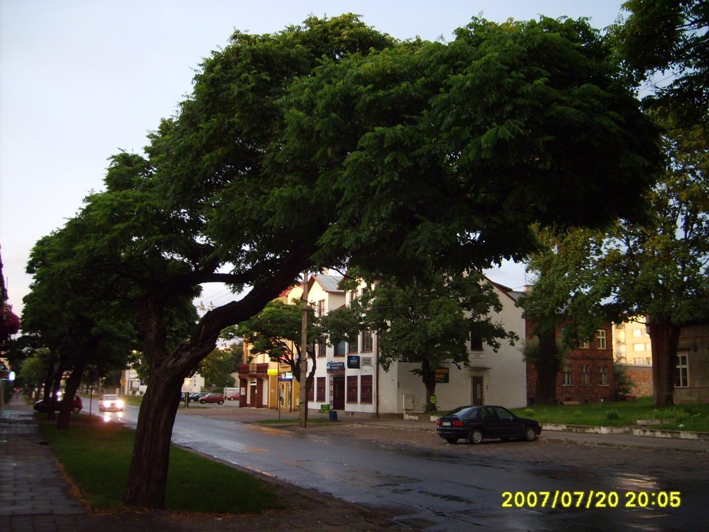Nice tree