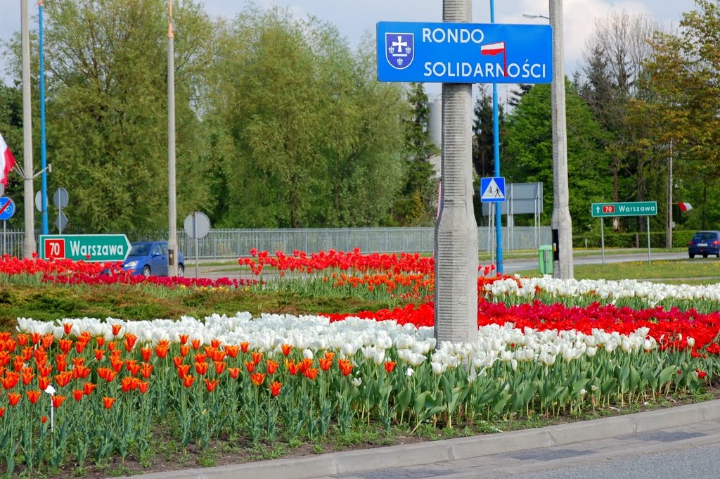 Skierniewice