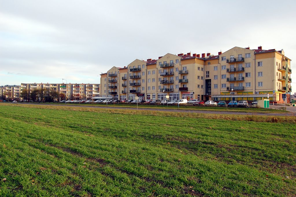 SKIERNIEWICE - WIDOK
