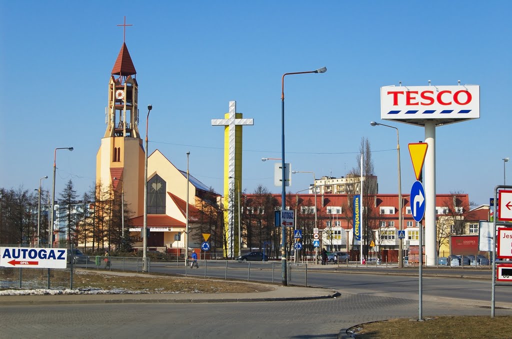 SKIERNIEWICE - WIDOK