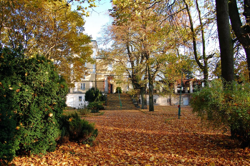 SKIERNIEWICE - PARK MIEJSKI