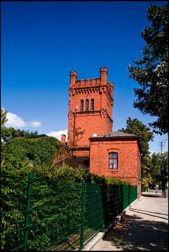 Skierniewice-gb-9