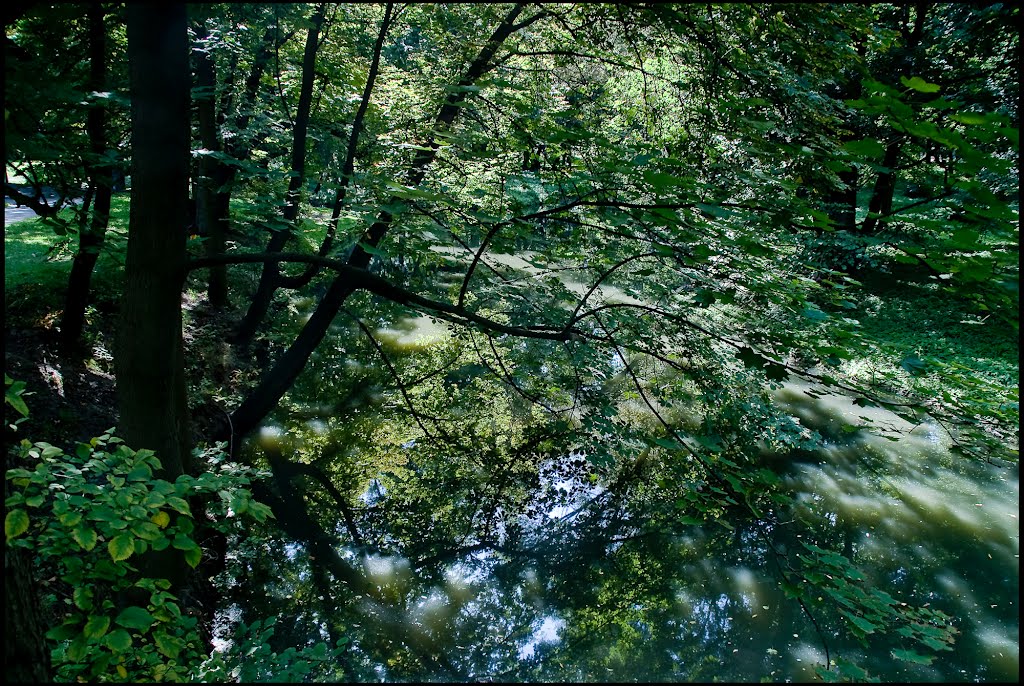 Skierniewice-Park Miejski i rzeka Skierniewka-gb-20