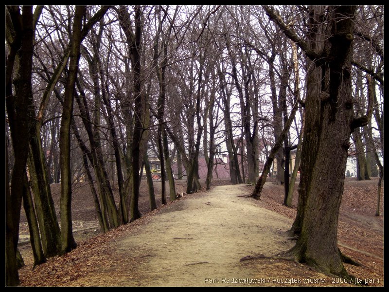 Park Radziwiłłowski na początku Wiosny