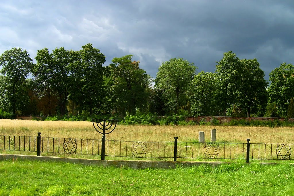 Widok na kirkut z ulicy Nowej