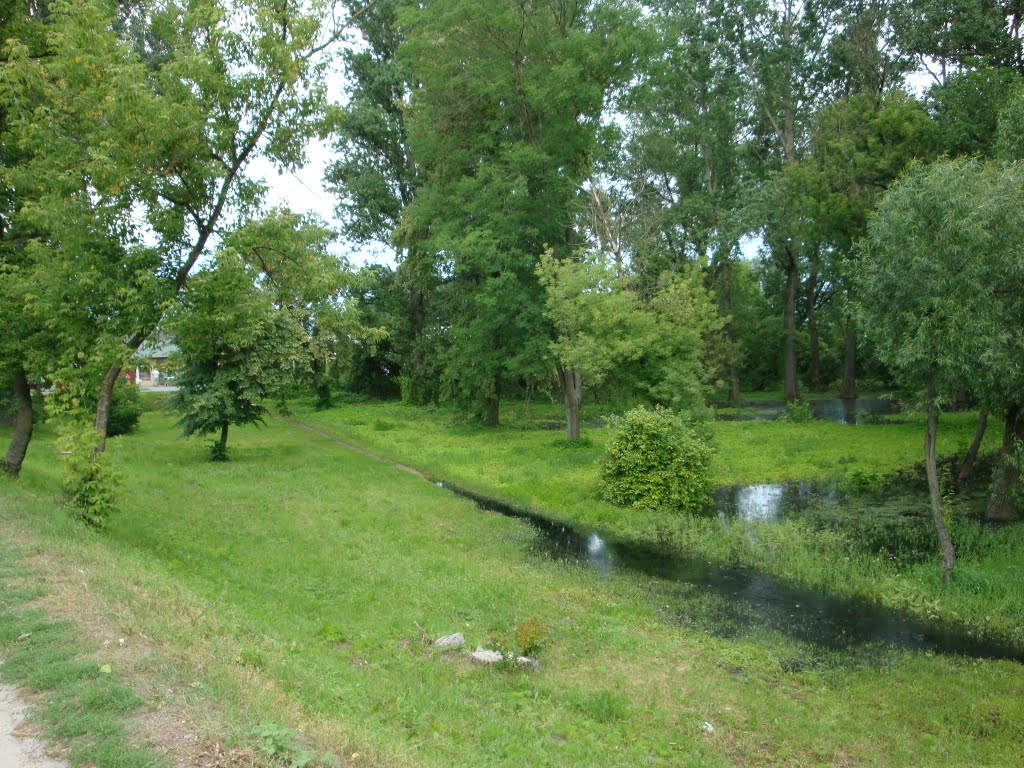 Biała Podlaska, Krzna wylewa, ul Łomaska