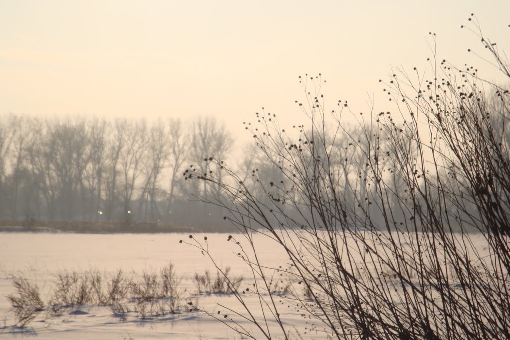 Biała Podlaska