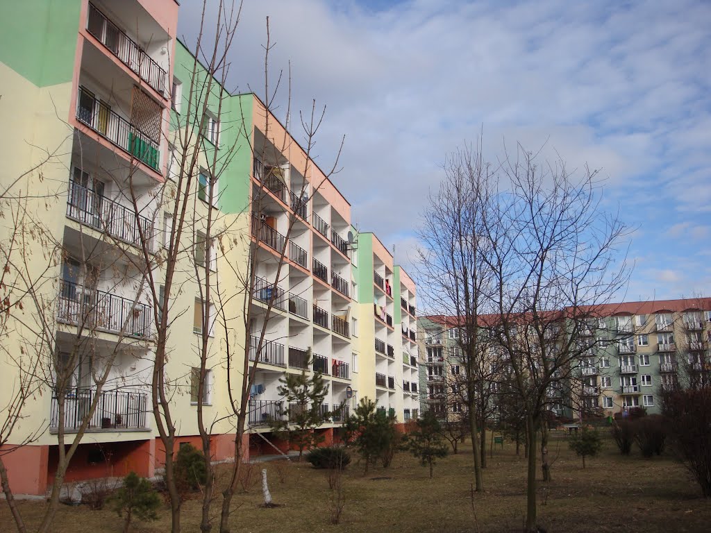 ul. Waryńskiego