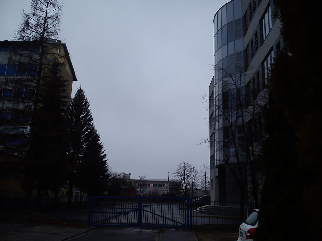 KRZESZOWSKA W BIŁGORAJU
