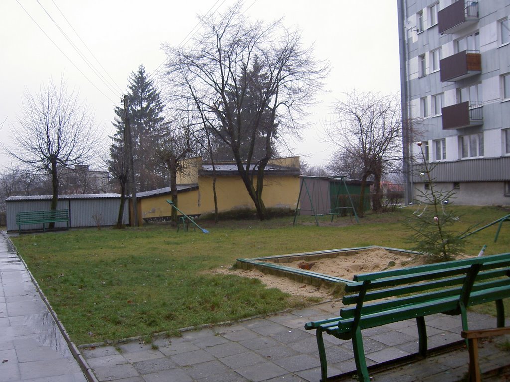 "nasze podwórko" zimowo