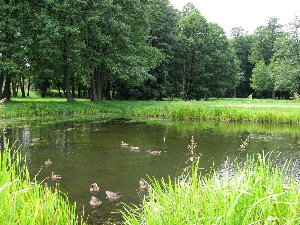 Biłgoraj - Osiedle park