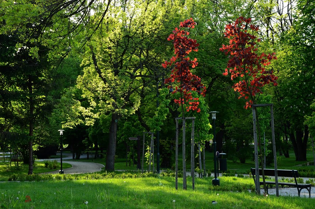Poland - Zamość. City Park...