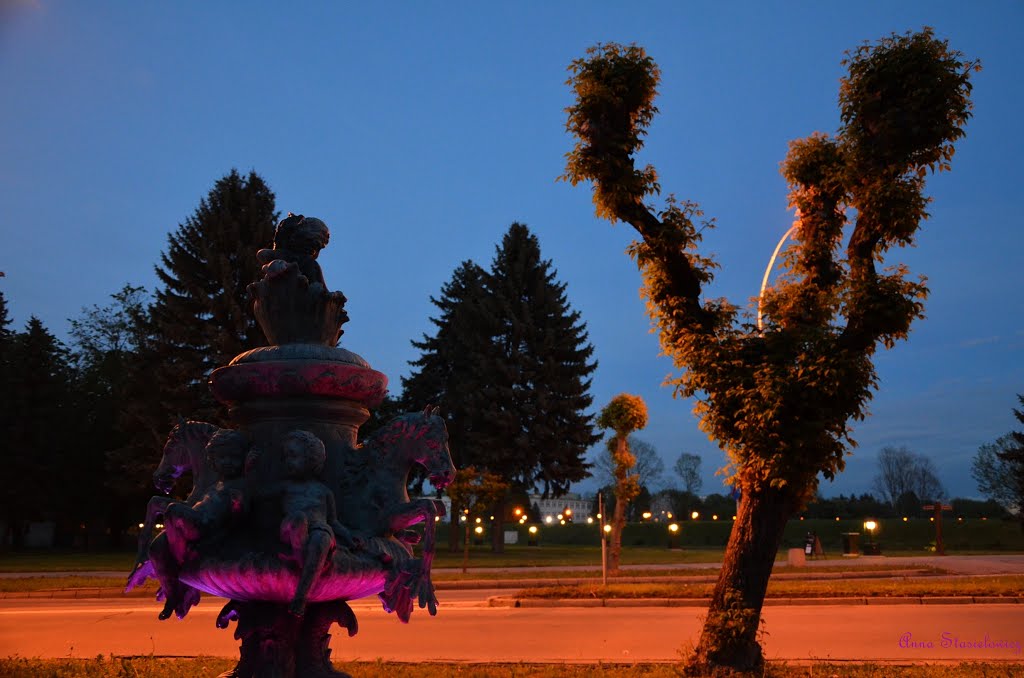 Poland. The fountain in Zamość