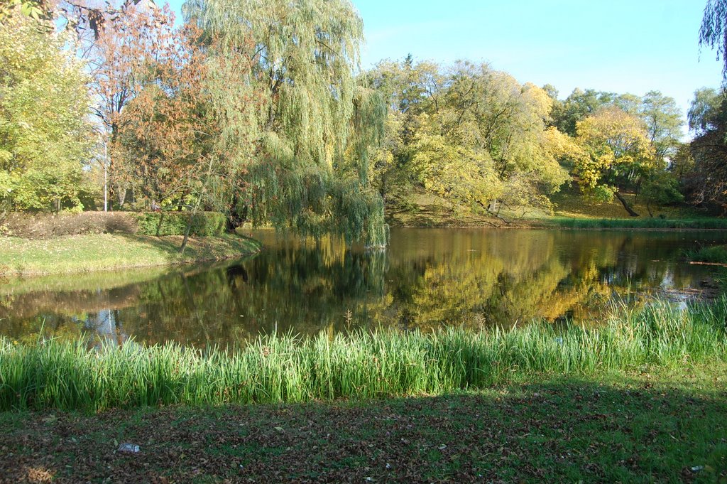Polska Zamość Park