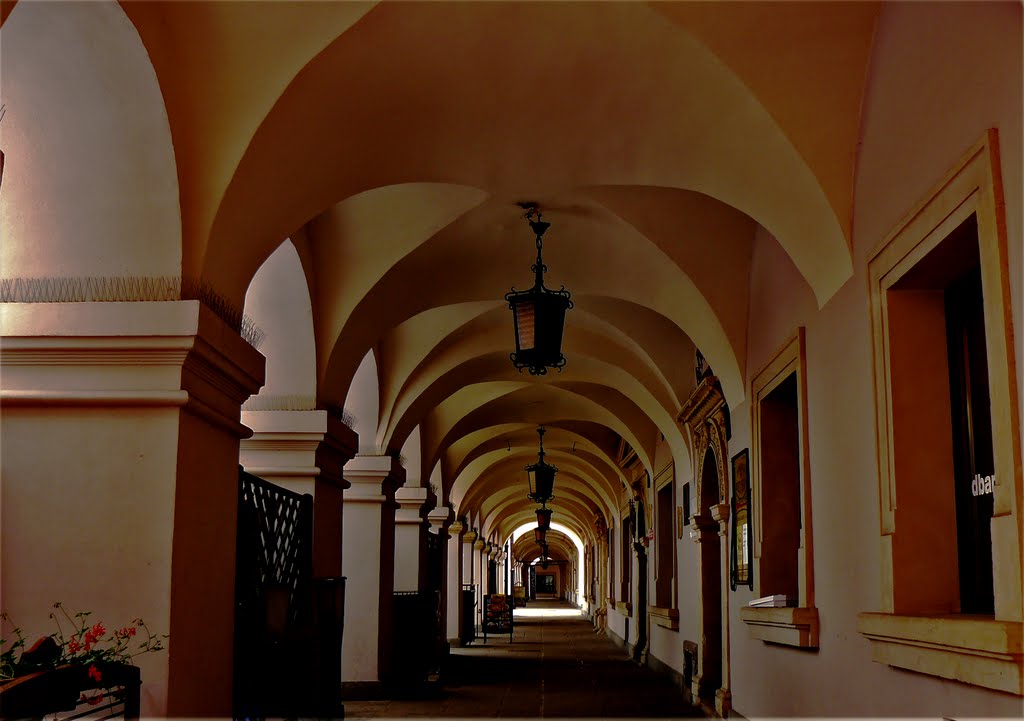 Zamość - krużganki w rynku  - kp