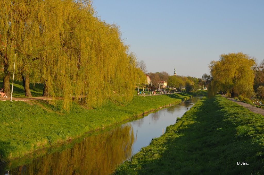 Zamość, Bulwar Loughborough