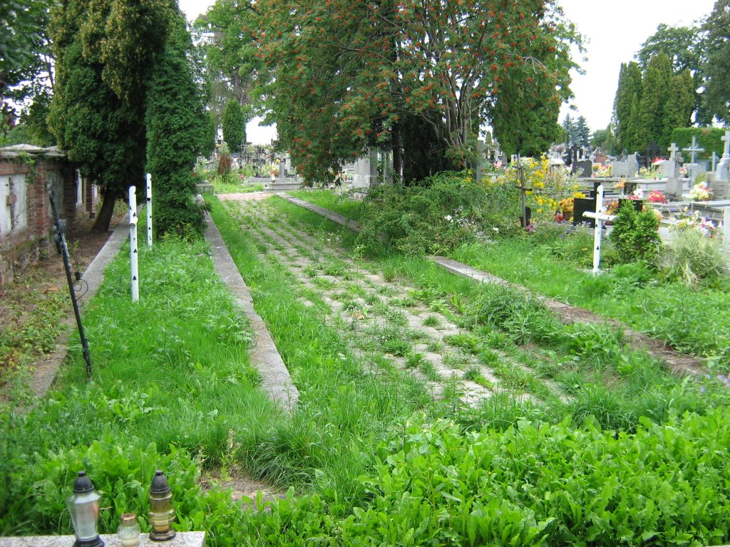 Kwatera żołnierzy 1 i 2 wojny św. w Kraśniku