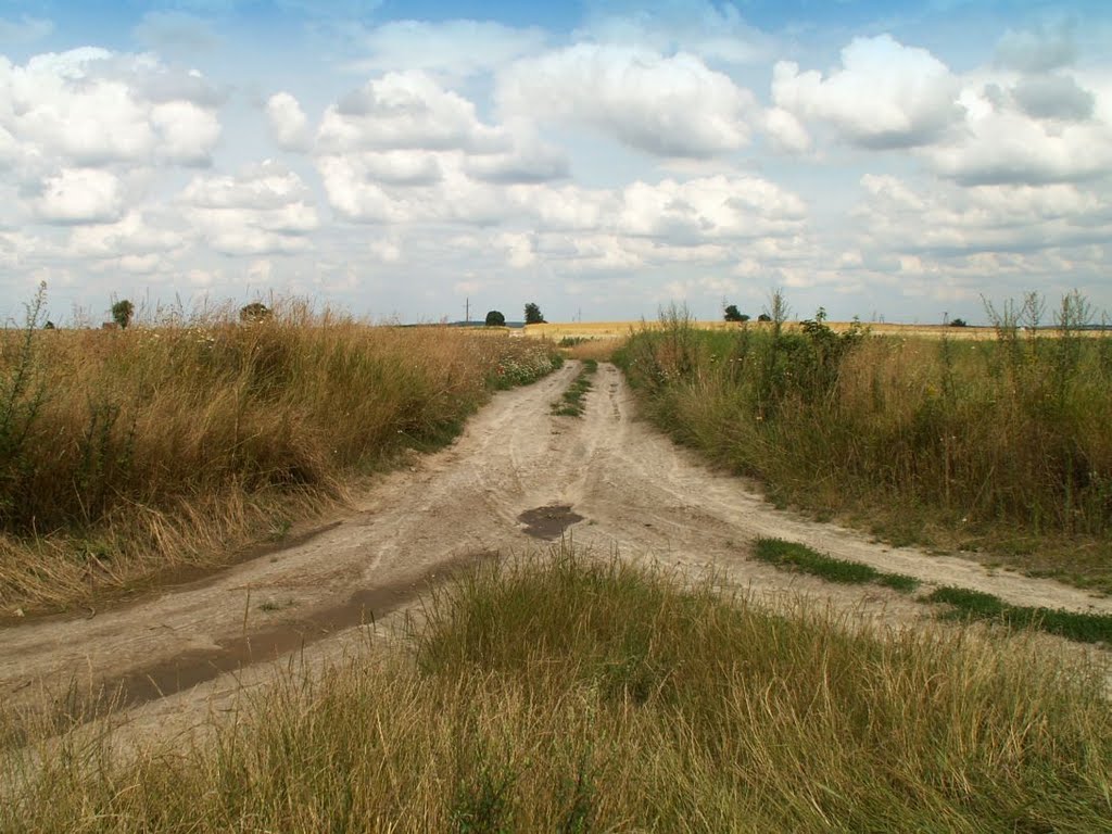 Rozgałęzienie dróg