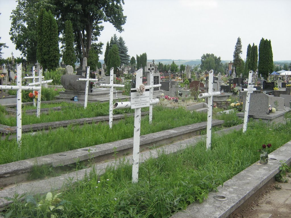 Żołnierze 7 Pułku Zapasowego +1944-45