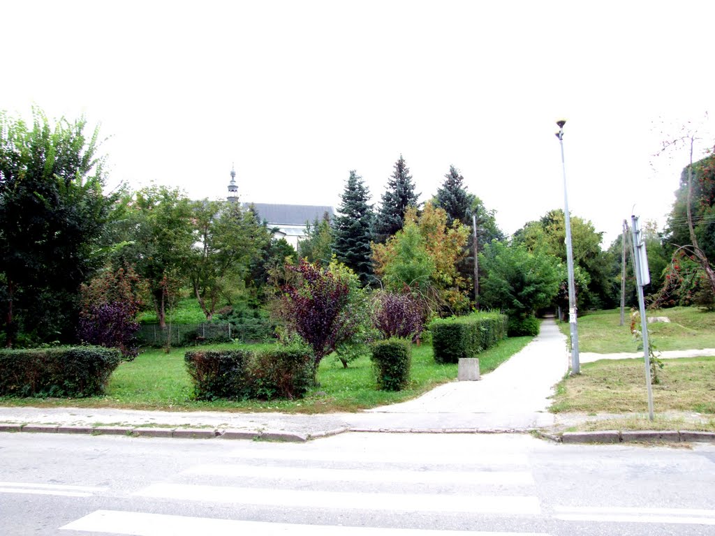 Kraśnik - widok na kościół od ul Oboźnej