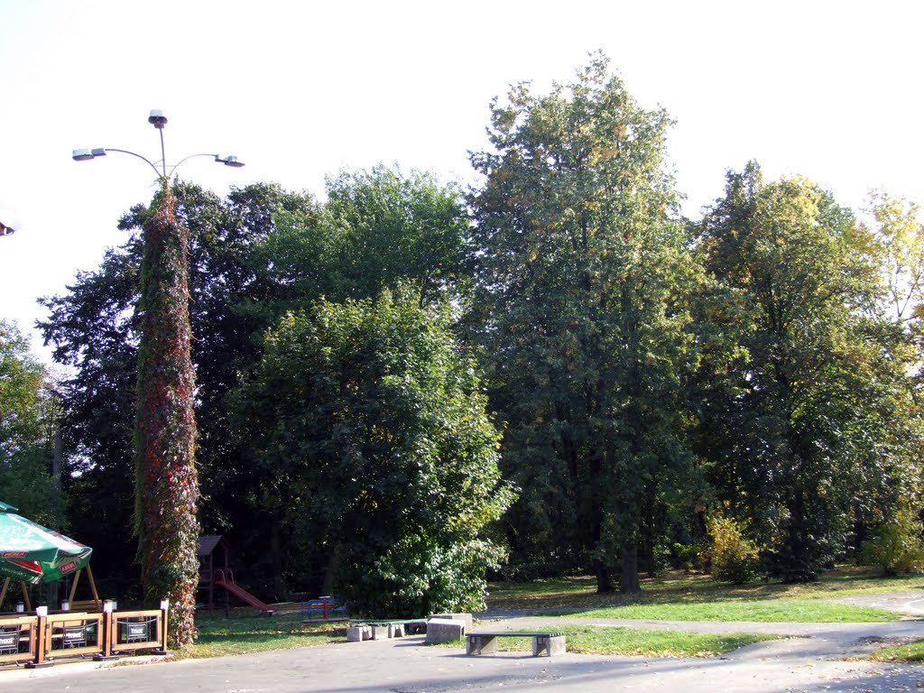 Kraśnik - park widok od ul Jagielońskiej