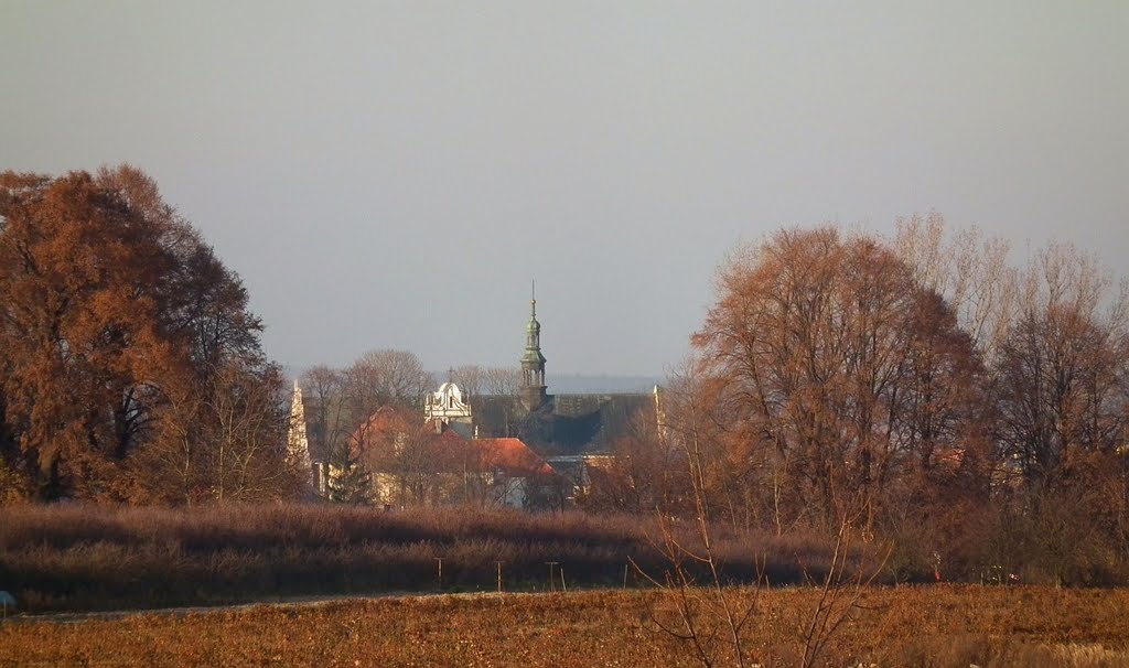 Widok na kościół