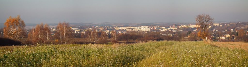Kraśnik w oddali