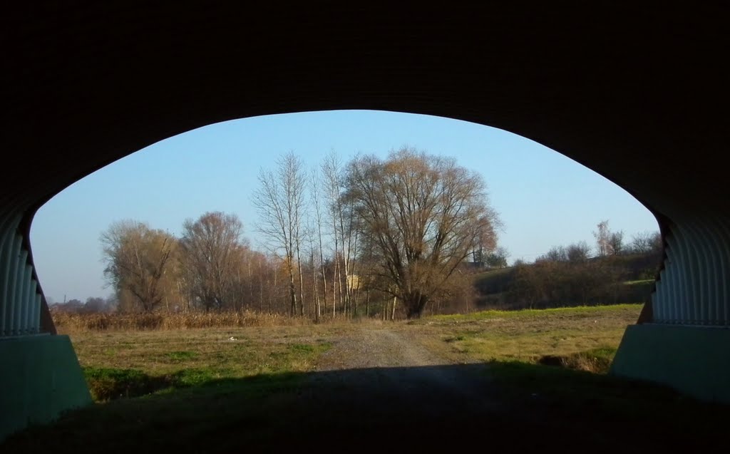 Pejzaż z tunelu