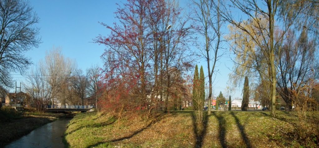 Rzeczka Wyżnica