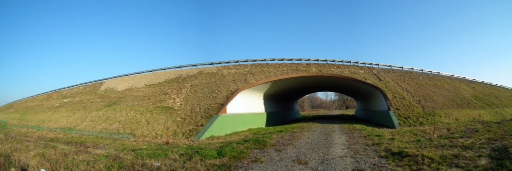 Tunel pod obwodnicą