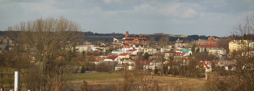 Panorama kraśnicka