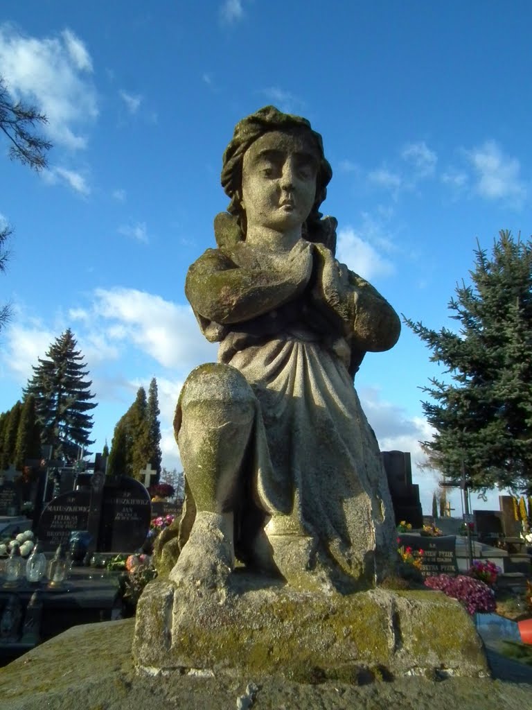 Janiołek