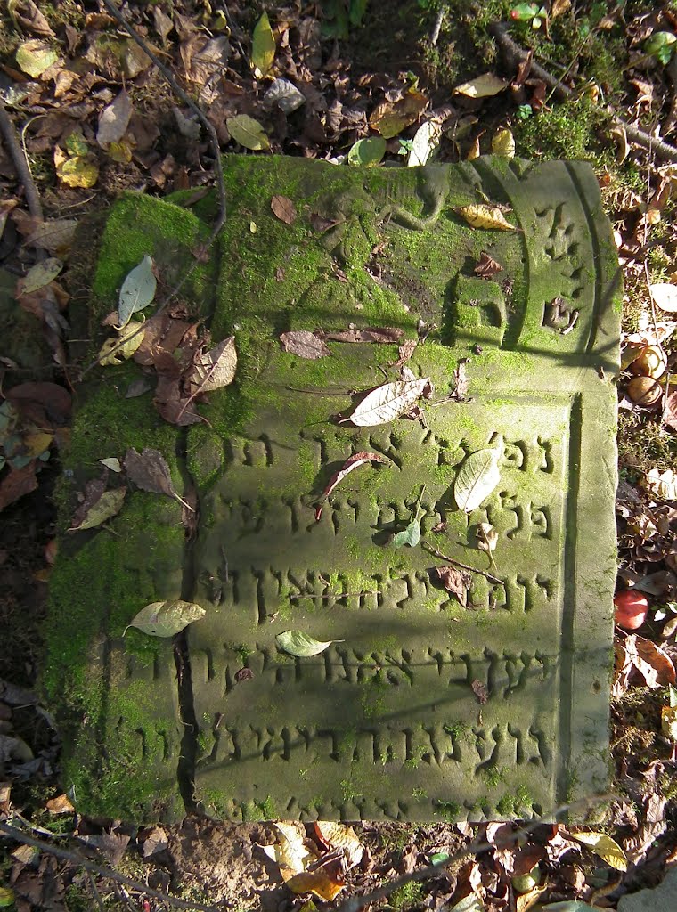 Fragment  macewy- kirkut kraśnicki