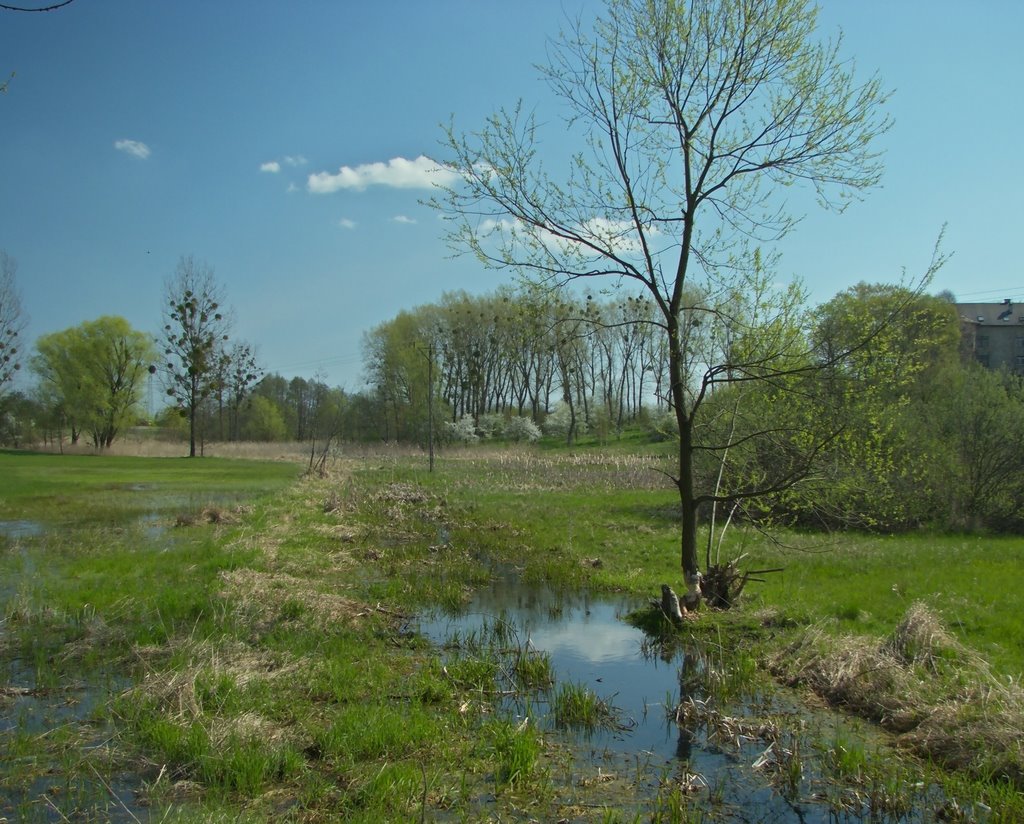 Krasnystaw