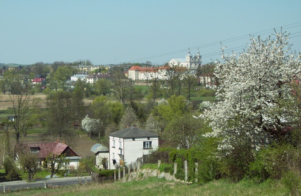 Krasnystaw - Panorama